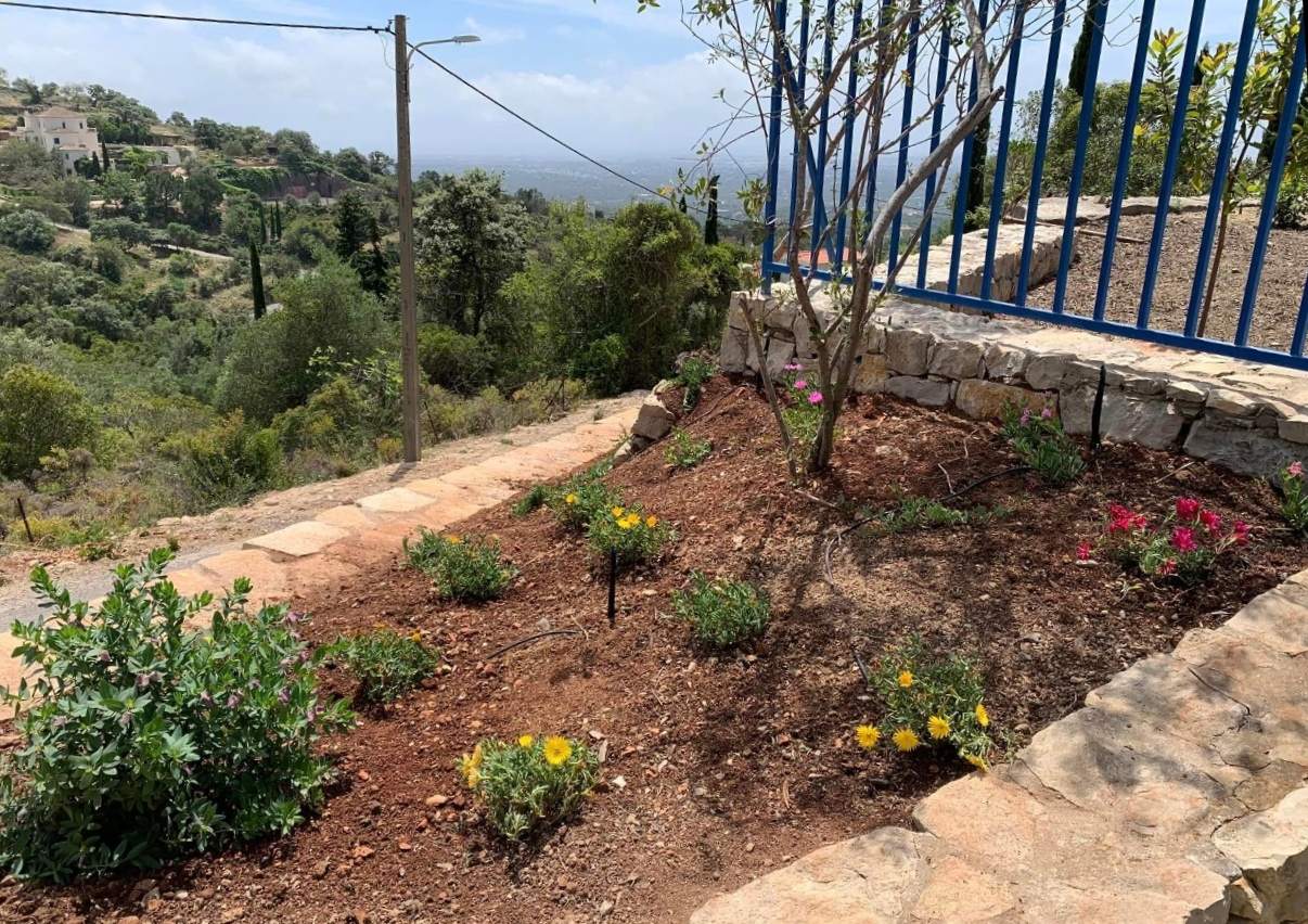 A newly planted terrace bed with drip irrigation, flowering ground cover and a dry-stone retaining wall, looking out over the hills